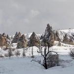 P1050769