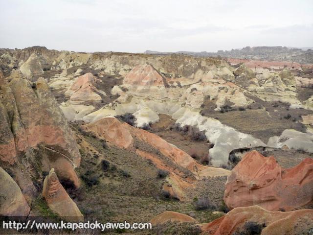 Pancarlık 03