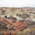 Pancarlık 24