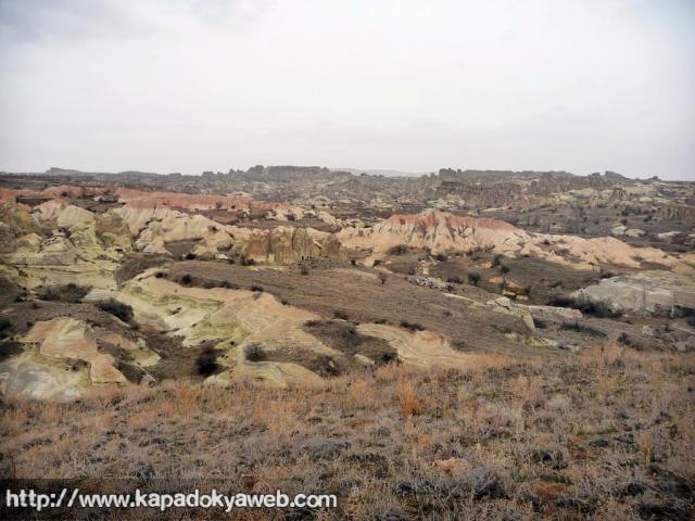 Pancarlık 27