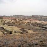 Pancarlık 27