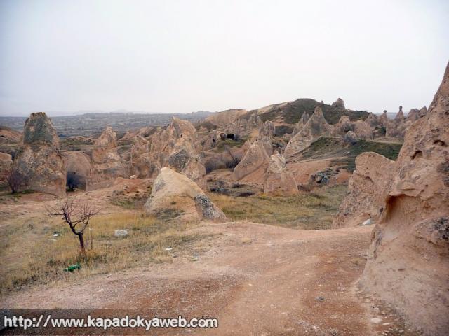 Pancarlık 39