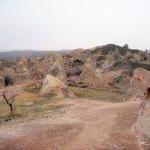 Pancarlık 39