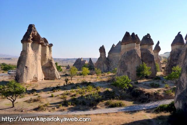 Paşabağ 16