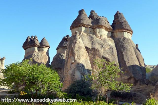 Paşabağ 18