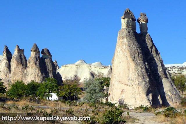 Paşabağ 19
